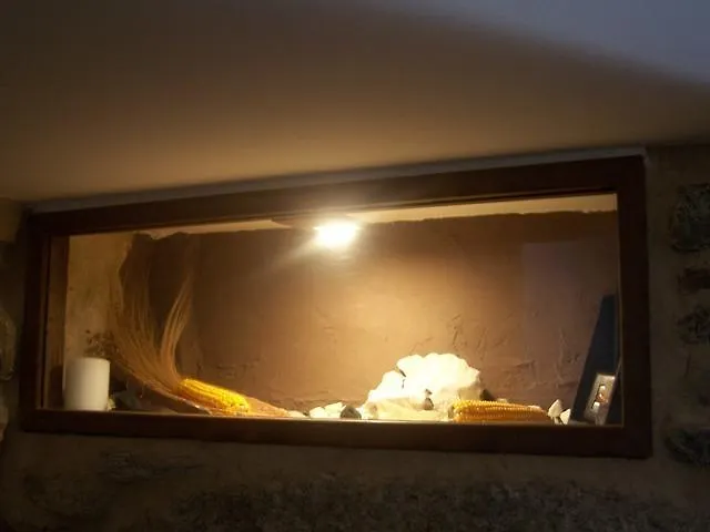 Casas Lucas - Carleo Outes